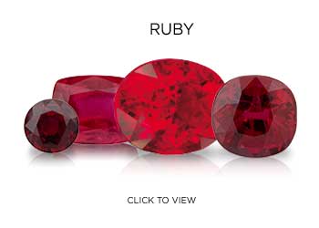 View Ruby Collection